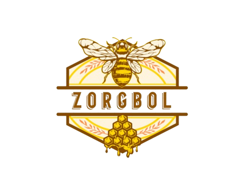 Zorgbol