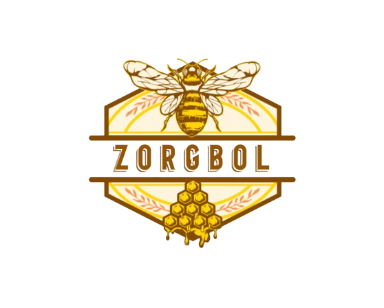 Zorgbol